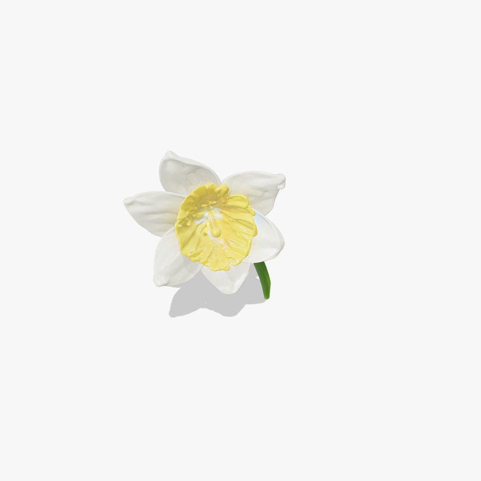 White Narcissus Flower Realistic Textured Model Pack